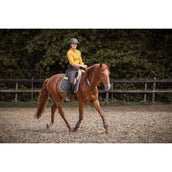 F.R.A. Rêne D'équilibre Whisper Marron
