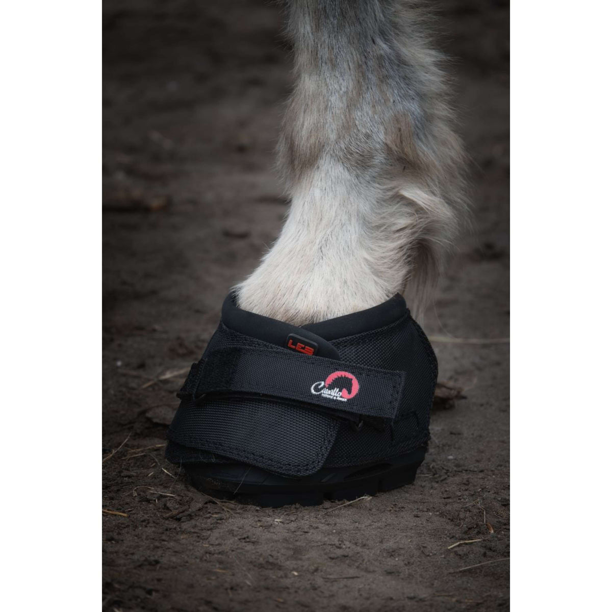F.R.A. Cavallo Donkey/Long Ear Boot Noir