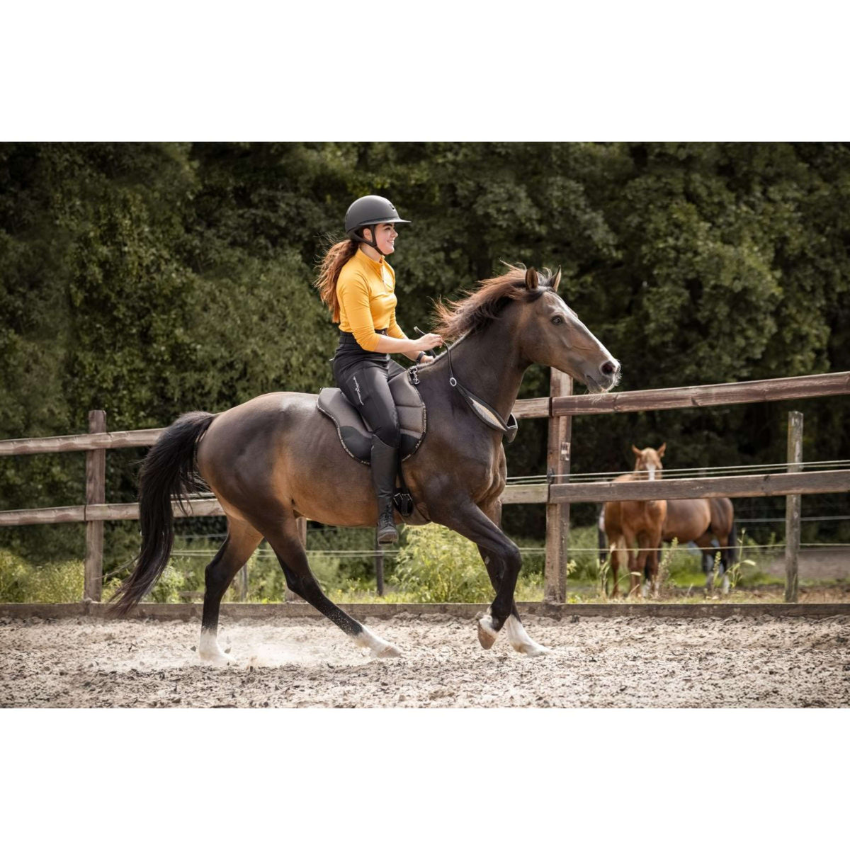 F.R.A. Pad Sans Selle Dardo Basic Bling Bling