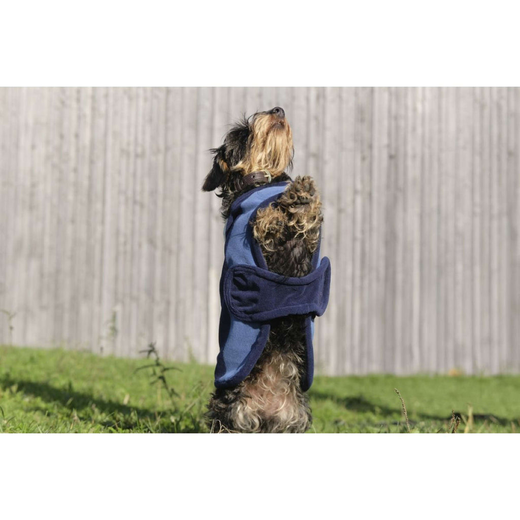 EQUITHÈME Couverture pour Chien New Market Marin