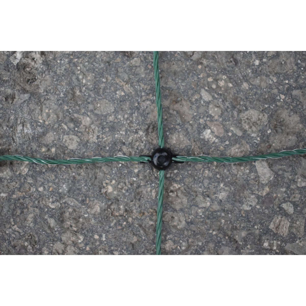 Euro-Netz Filet Avicole Vert