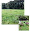Euro-Netz Filet Avicole Sans Alimentation Vert