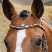 Harry's Horse Bride Bombastic Crystals Marron