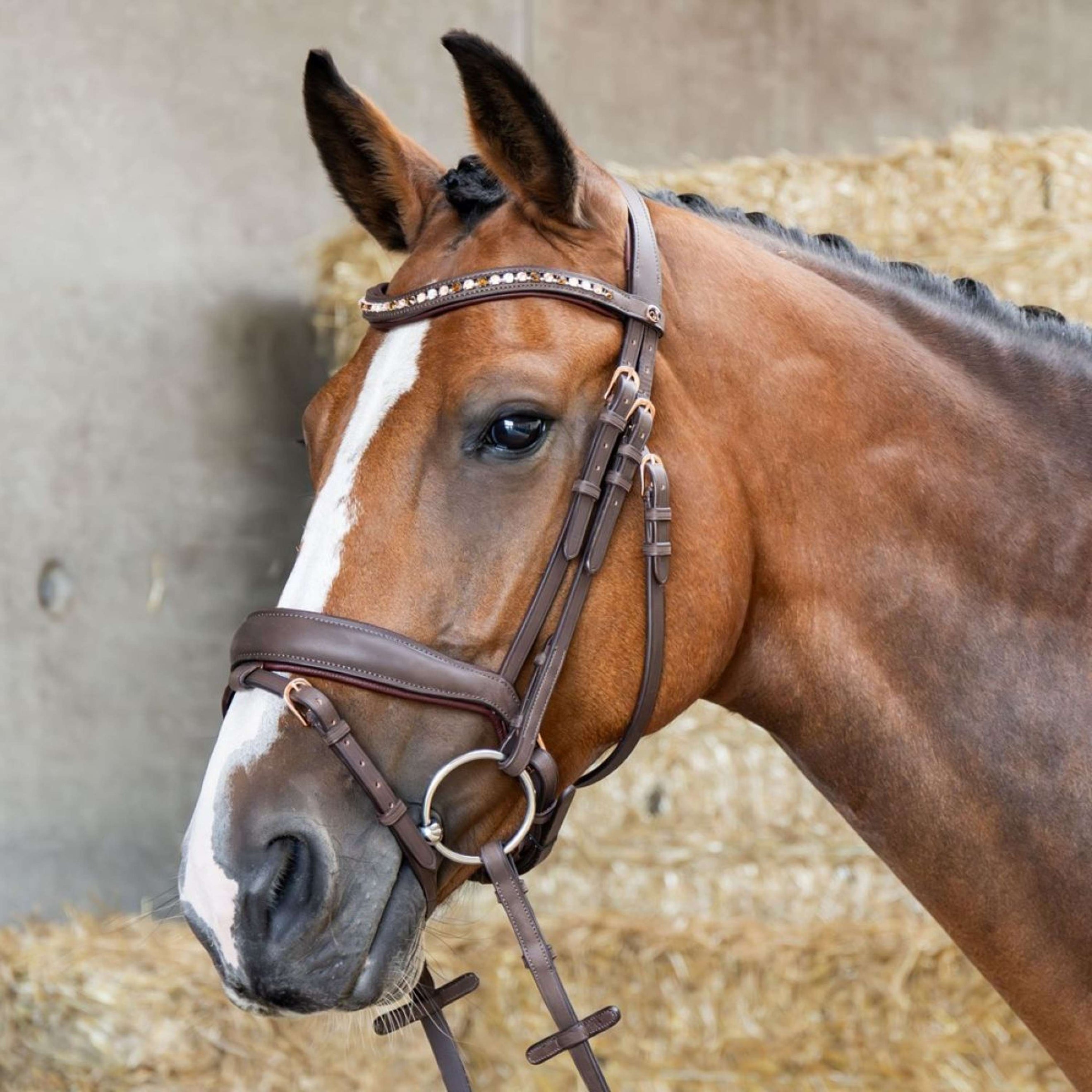 Harry's Horse Bride Bombastic Crystals Marron