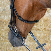 Harry's Horse Bride Anatomic Black Crystal Noir