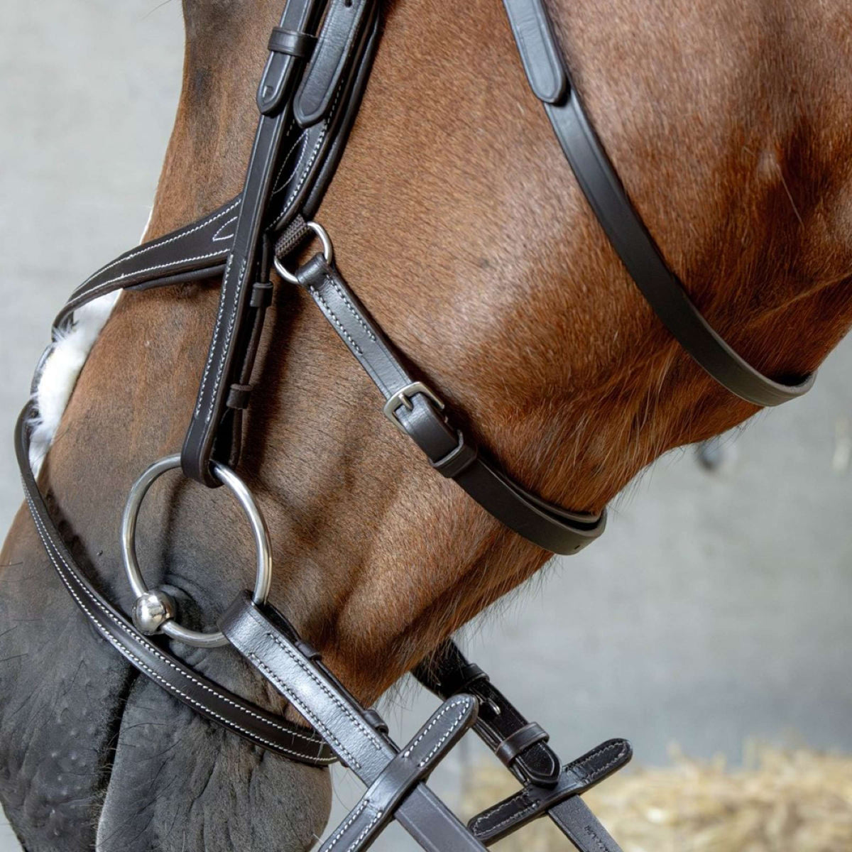 Harry's Horse Bride Mexicaine Anatomic Marron