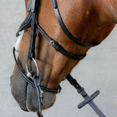 Harry's Horse Bride Mexicaine Anatomic Noir