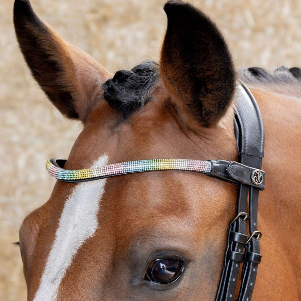 Harry's Horse Frontal Rainbow Arc en ciel