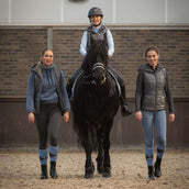 Harry's Horse Pull Trendy Flint Stone