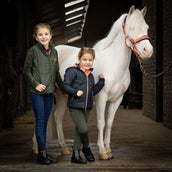 Harry's Horse Ensemble Licol LouLou Crabapple