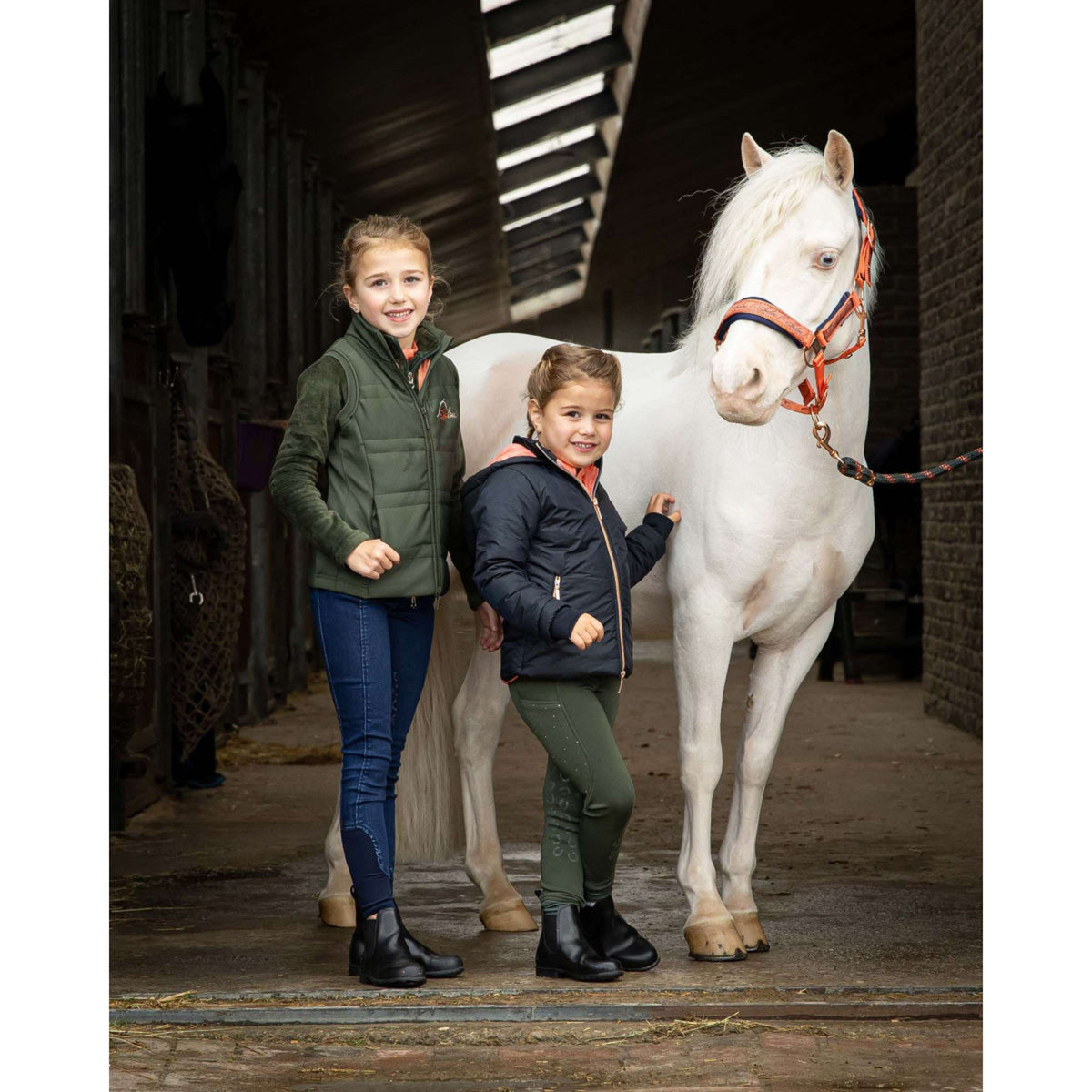 Harry's Horse Ensemble Licol LouLou Crabapple