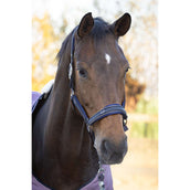 Harry's Horse Ensemble Licol EQS Marin foncé