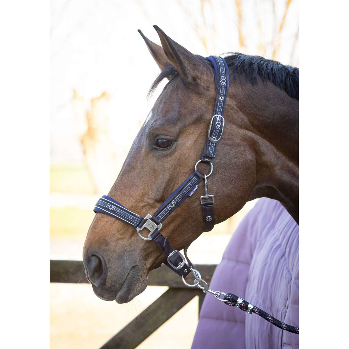 Harry's Horse Ensemble Licol EQS Marin foncé