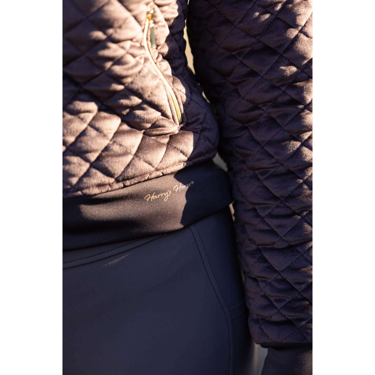 Harry's Horse Veste Bomber Classy Bracken