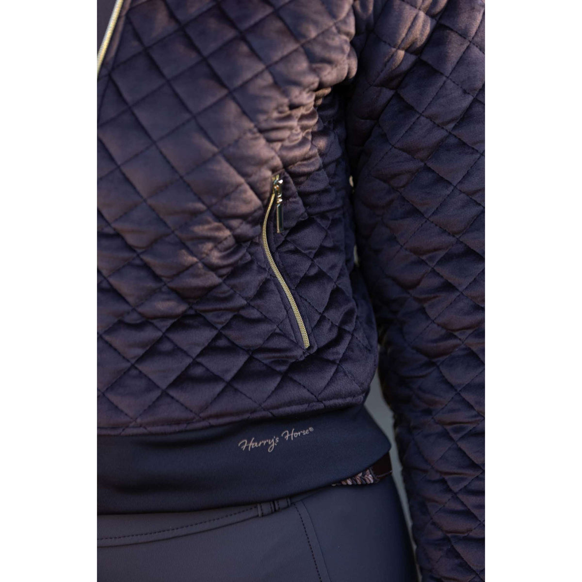 Harry's Horse Veste Bomber Classy Bracken
