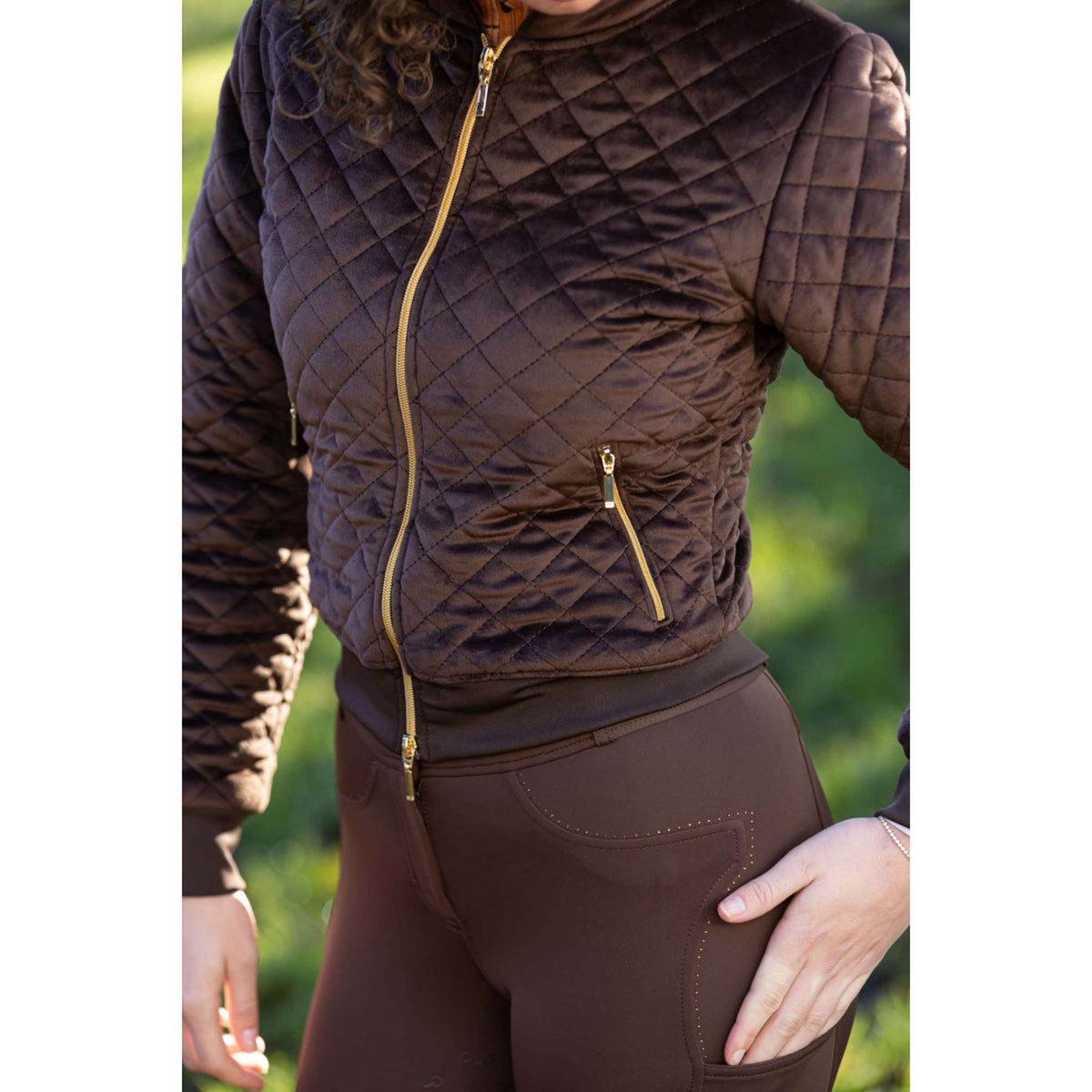 Harry's Horse Veste Bomber Classy Bracken