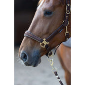 Harry's Horse Ensemble Licol EQS Bracken