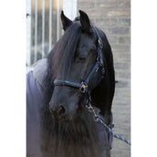 Harry's Horse Ensemble Licol EQS Black-Sand