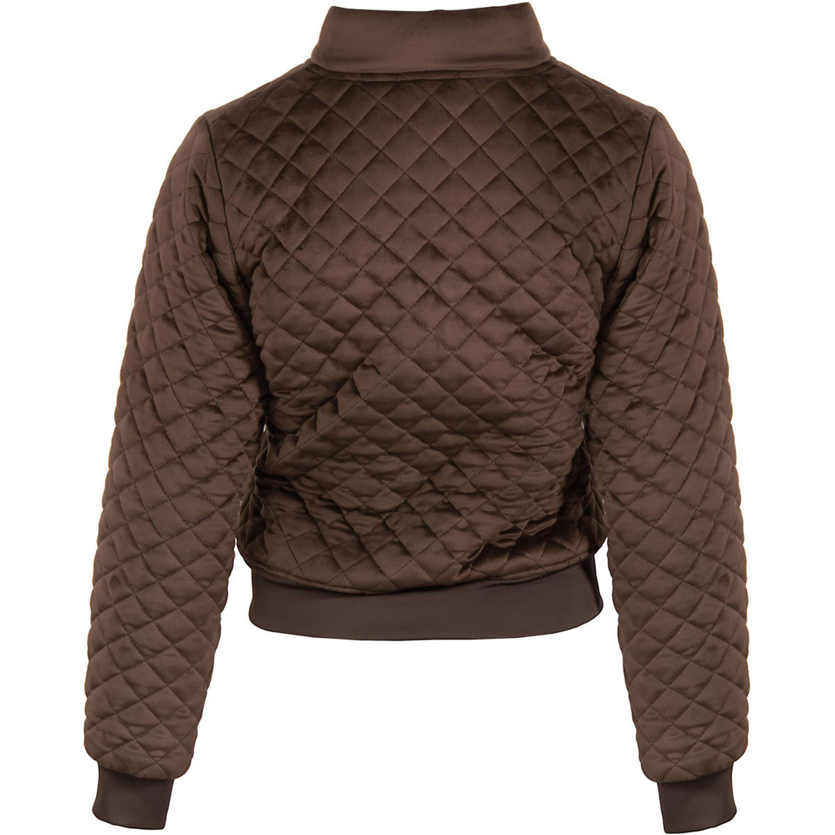 Harry's Horse Veste Bomber Classy Bracken