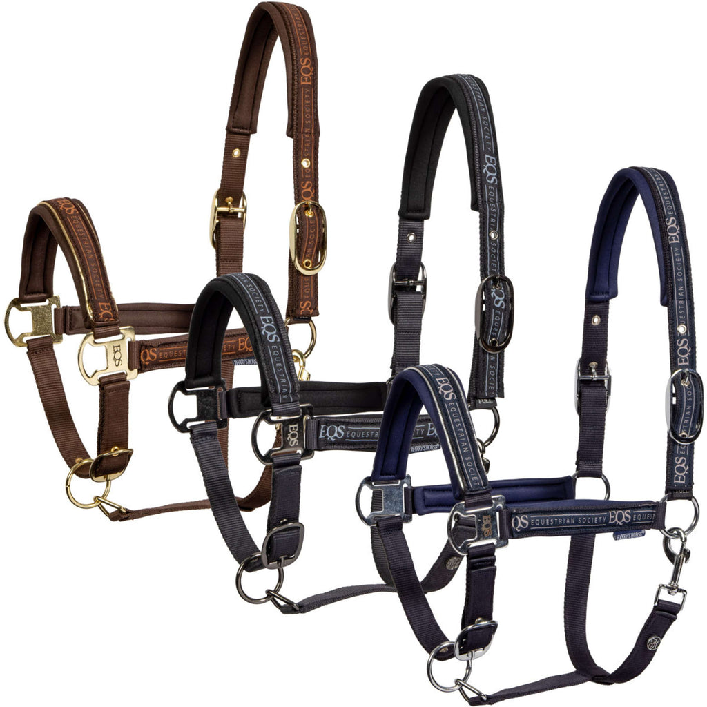 Harry's Horse Ensemble Licol EQS Bracken