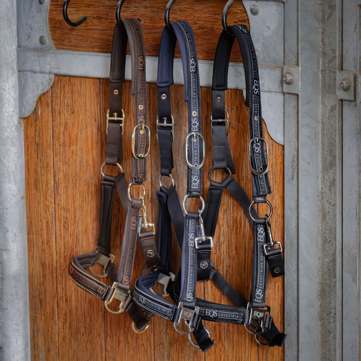 Harry's Horse Ensemble Licol EQS Marin foncé