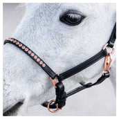 Harry's Horse Licol Crystal Poney/Poulain Noir/Or Rose