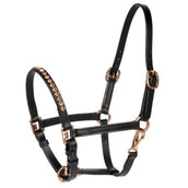 Harry's Horse Licol Crystal Poney/Poulain Noir/Or Rose