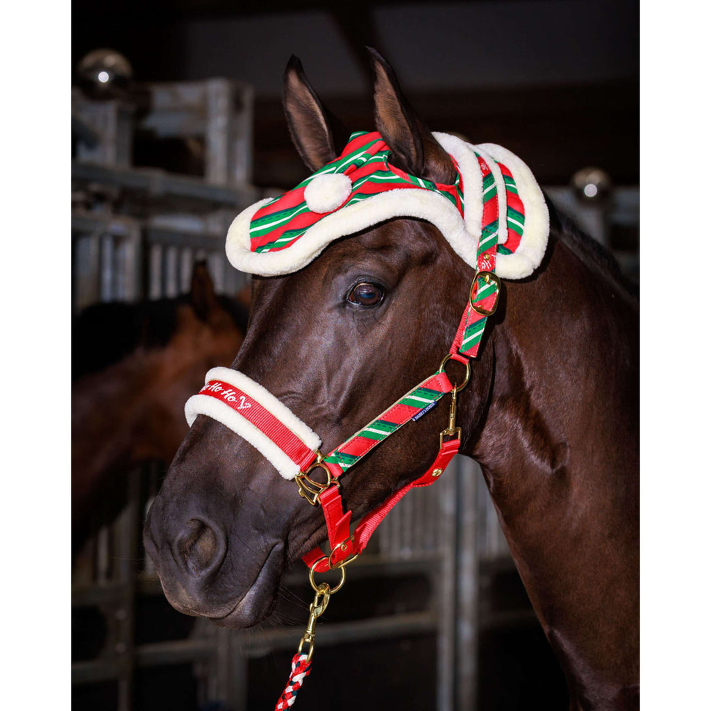 Harry's Horse Ensemble licol et bonnet Christmas '26 Rouge