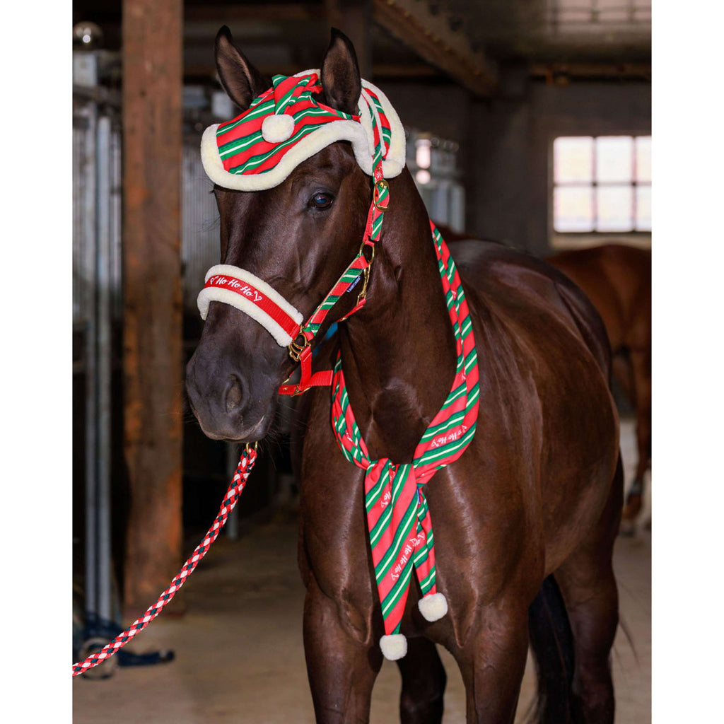 Harry's Horse Echarpe Christmas '26 Rouge