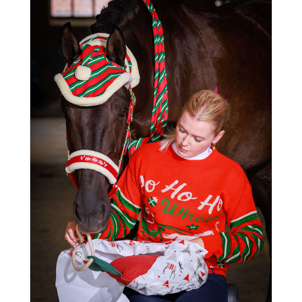 Harry's Horse Echarpe Christmas '26 Rouge