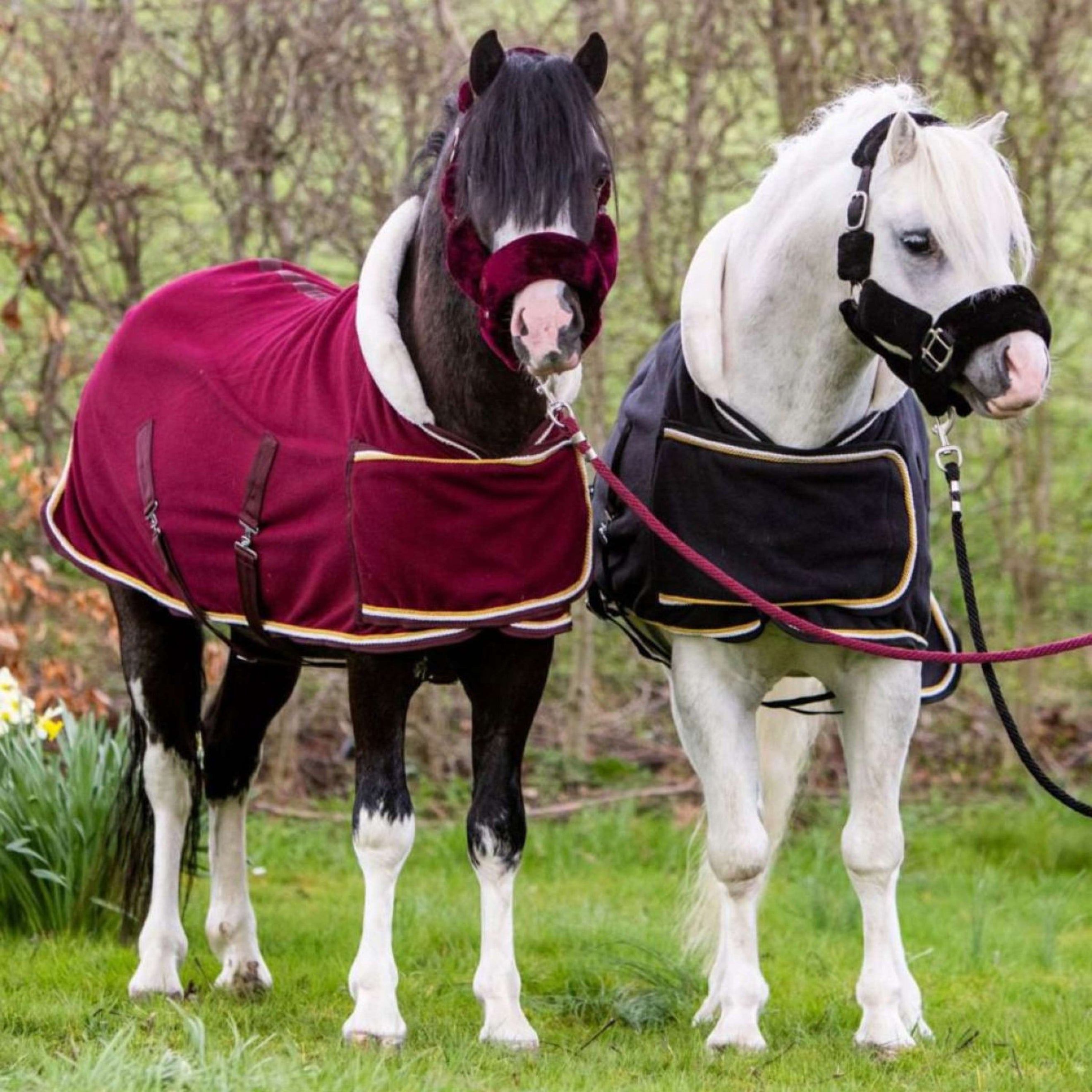 HB Couverture de Concours Dutch Crown Little Sizes Bordeaux HB Couverture de Concours Dutch Crown Little Sizes Bordeaux