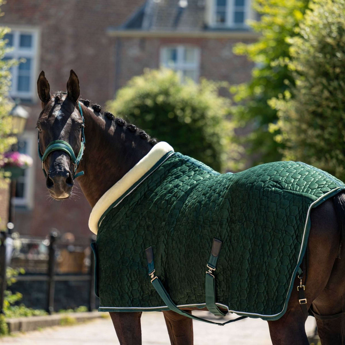 HB Ruitersport Couverture de Concours Special Peach Forest Green