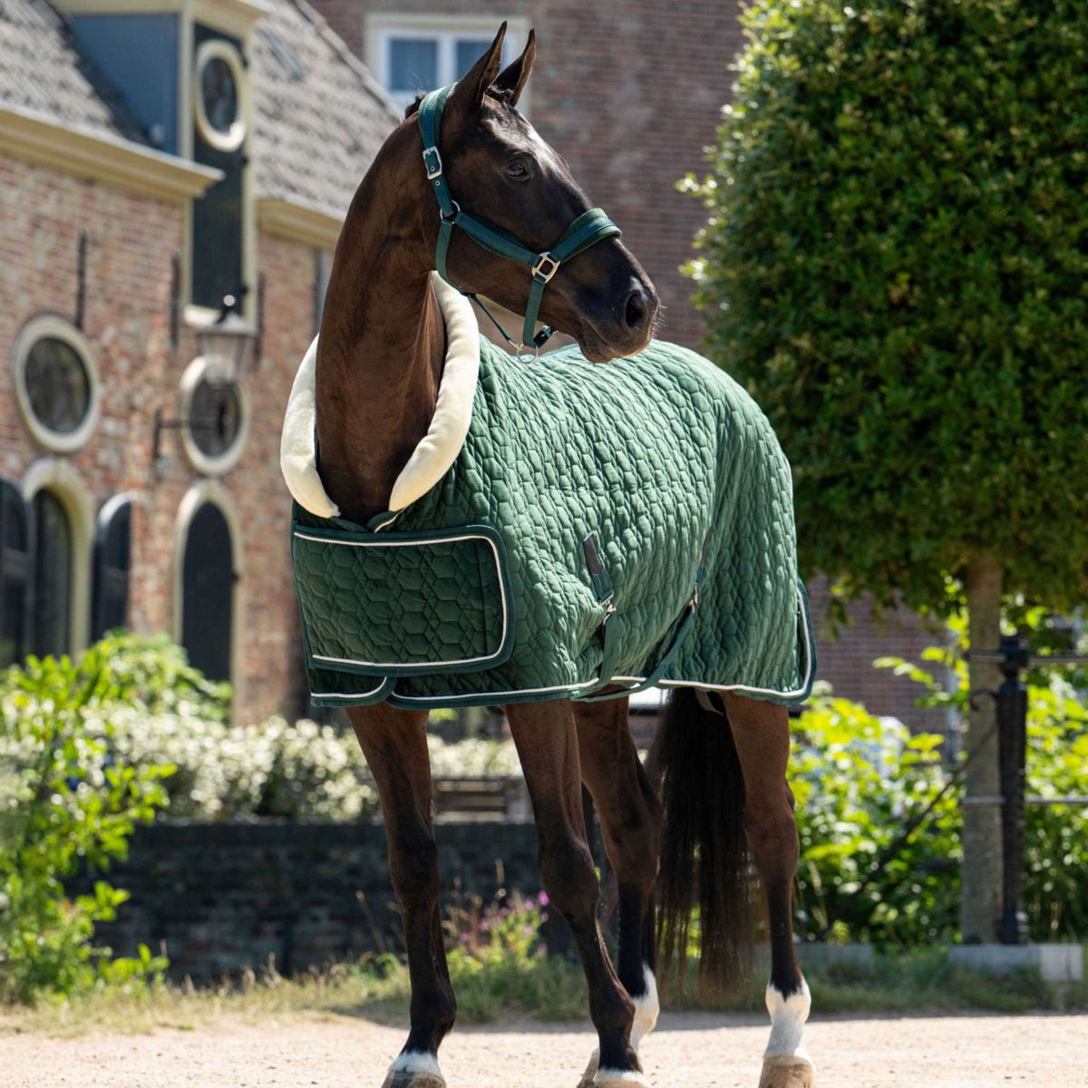 HB Ruitersport Couverture de Concours Special Peach Forest Green