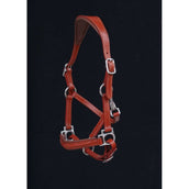 HB Showtime Licol Little Sizes Cognac/Cognac