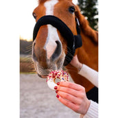 Candy Horse Love Beignets Heather & Cornflower