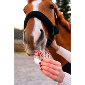 Candy Horse Love Beignets Hibiscus & Rosehip