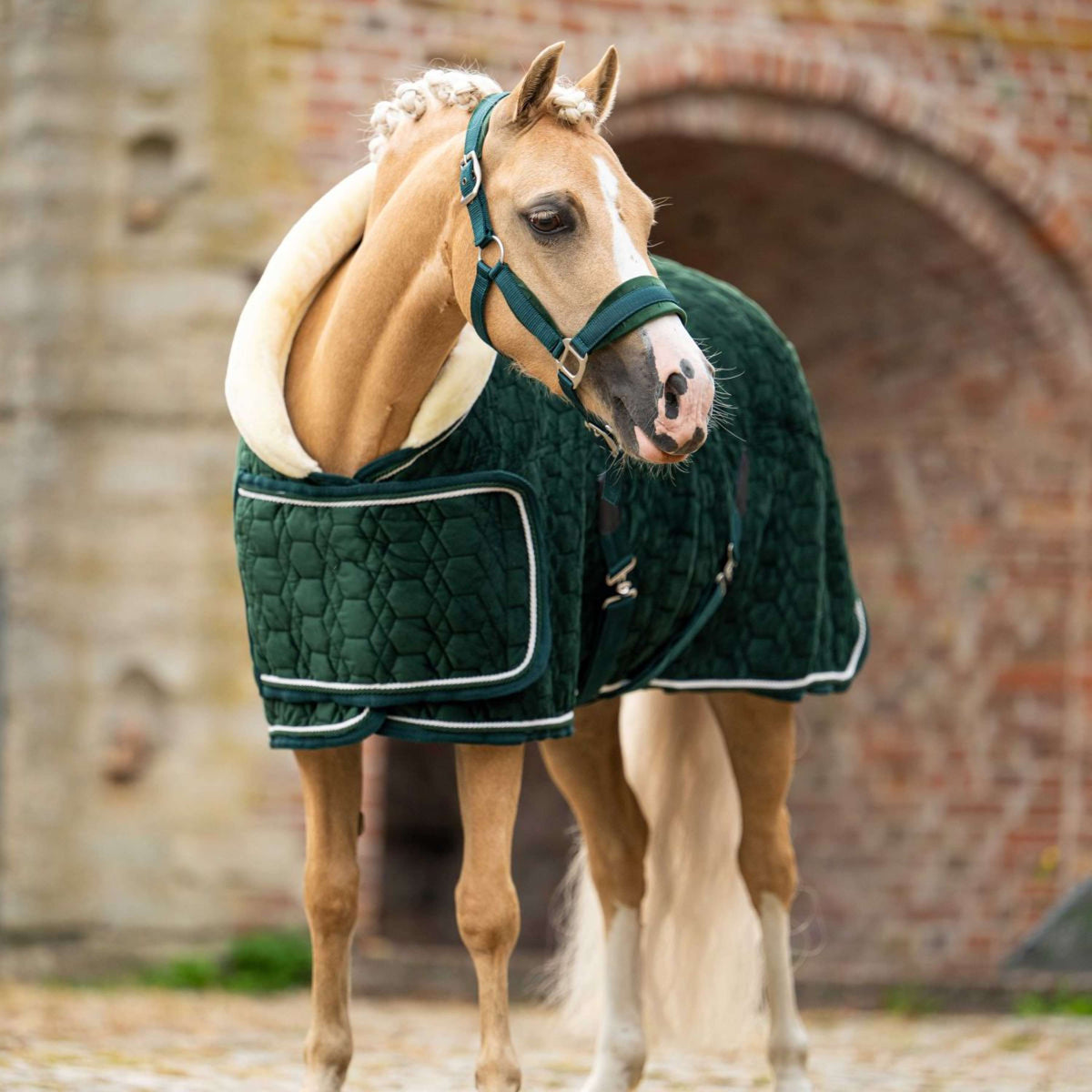 HB Ruitersport Couverture de Concours Special Peach Forest Green