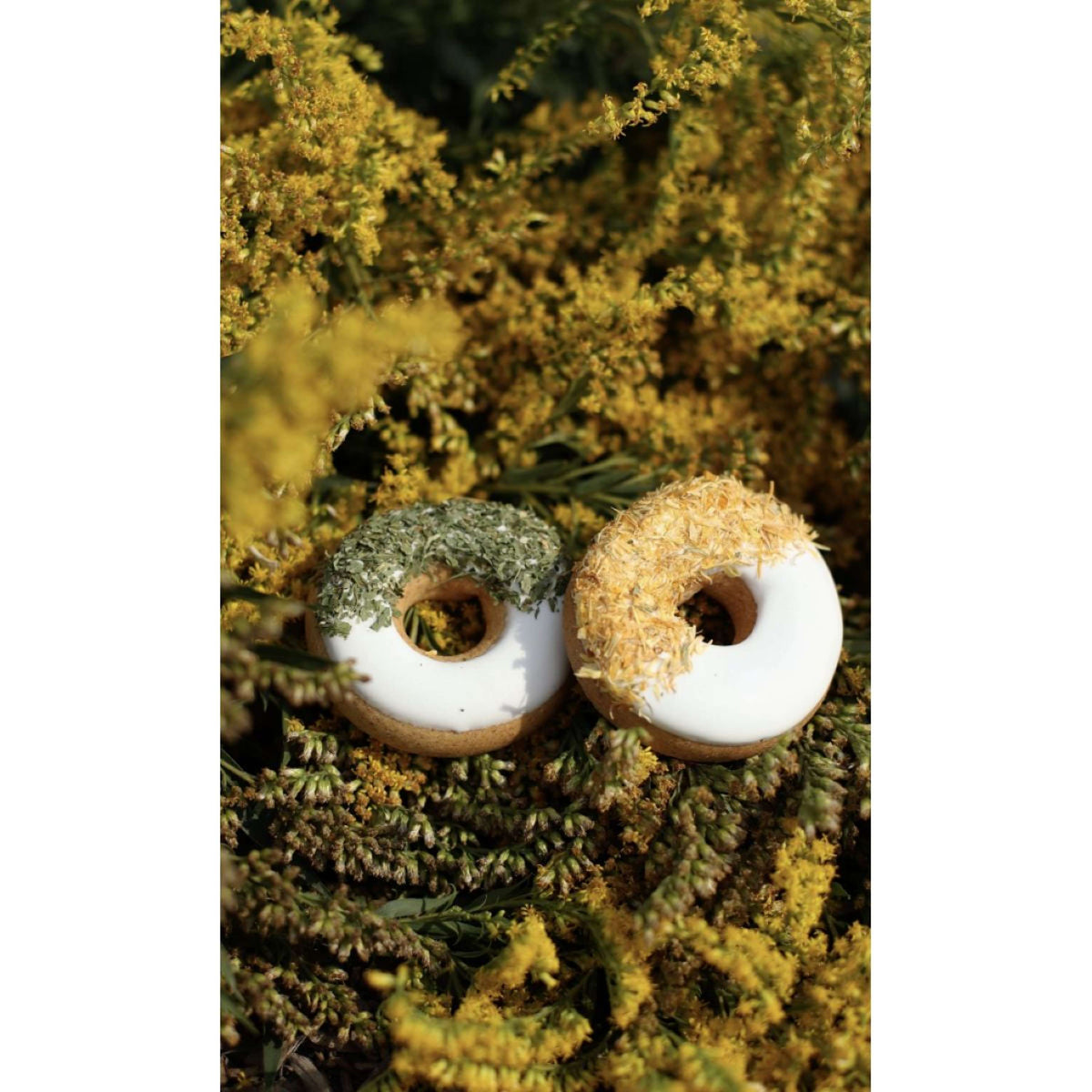 Candy Horse Donut Parsley/Calendula