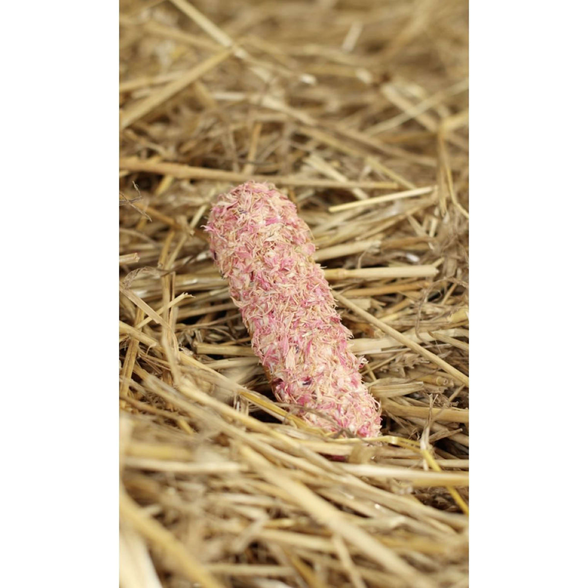 Candy Horse Cookies Pink Cornflower Èclair