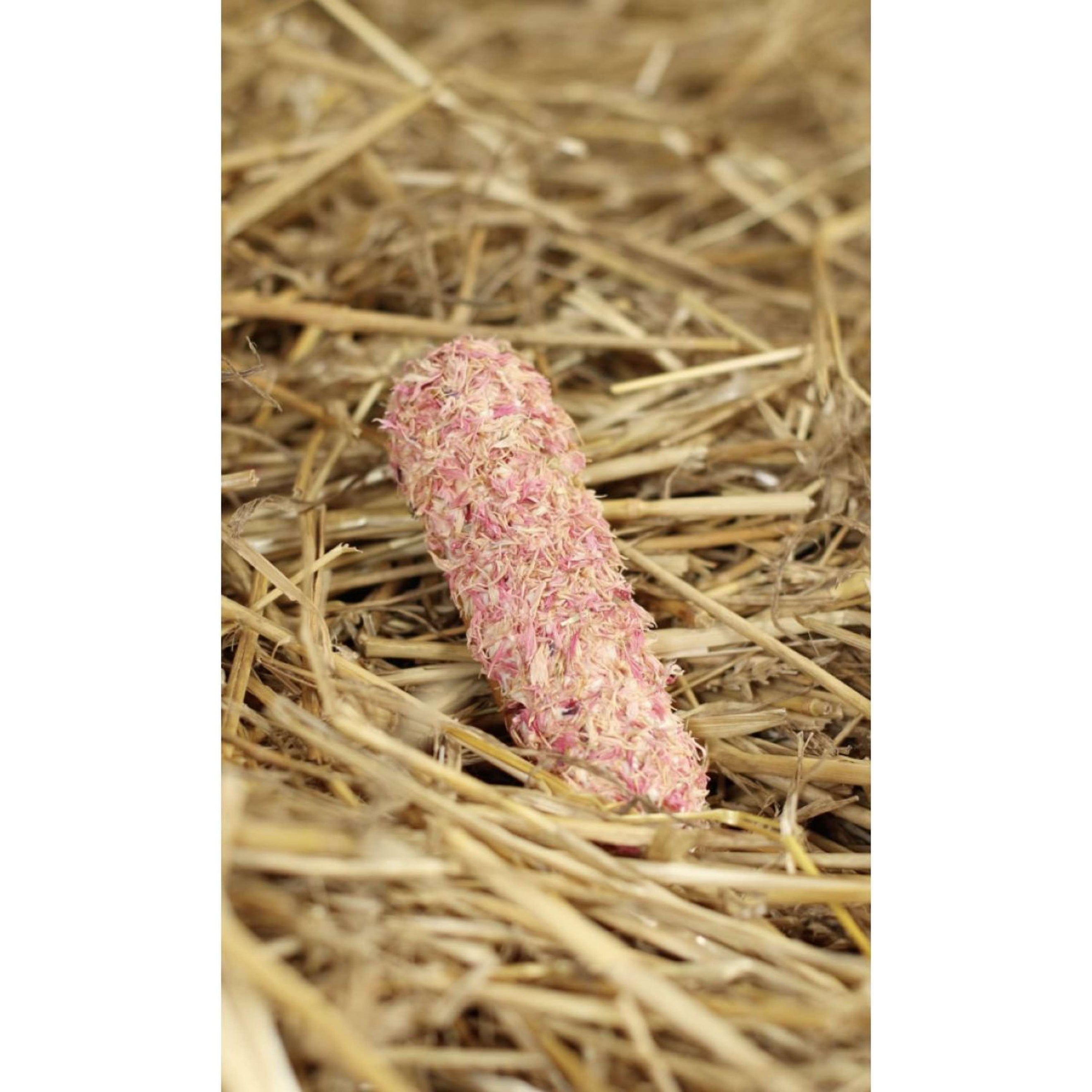 Candy Horse Cookies Pink Cornflower Èclair