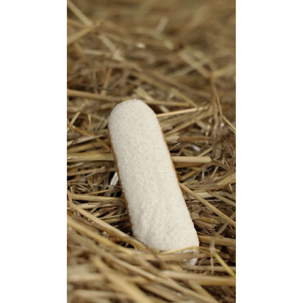 Candy Horse Cookies Coconut Eclair