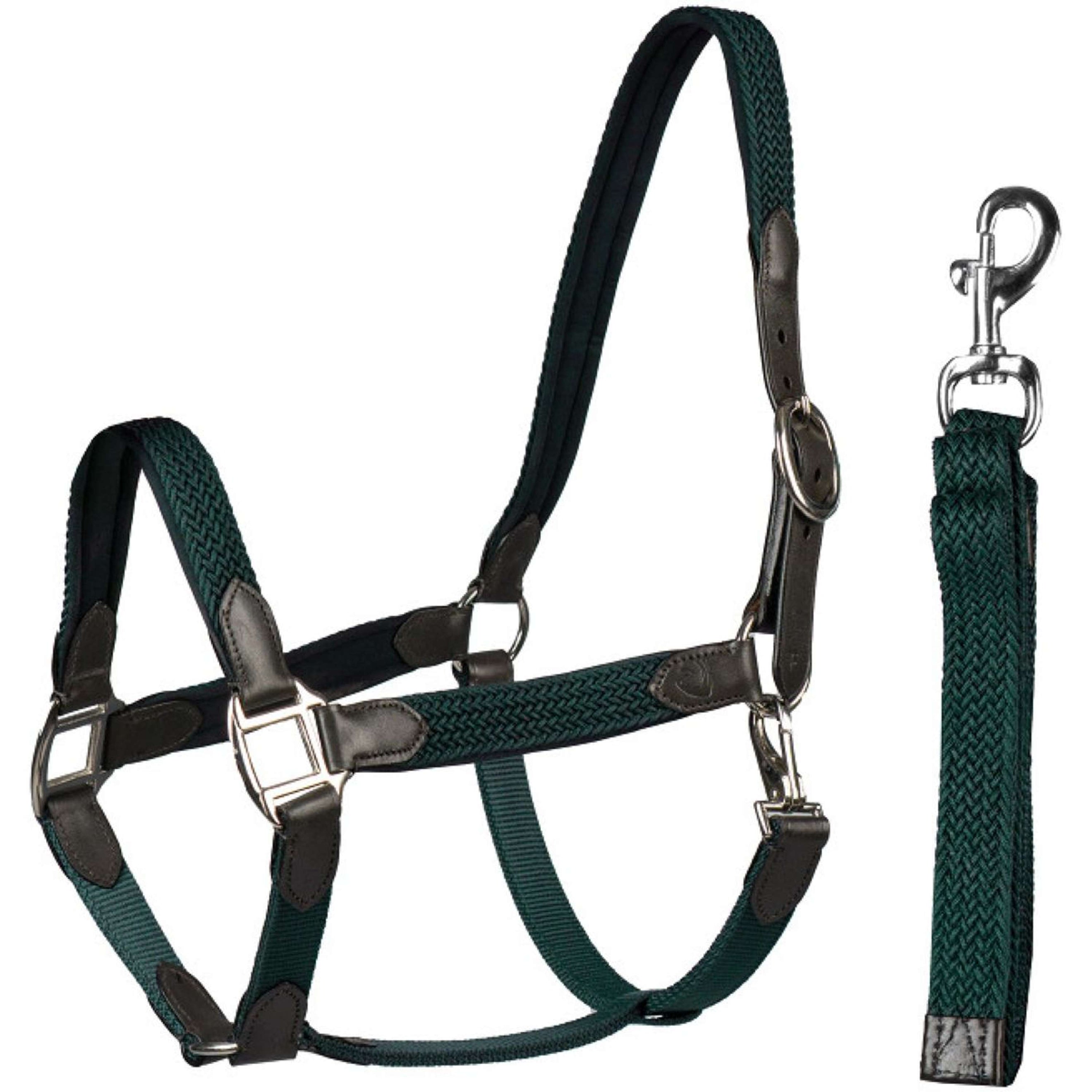 HORKA Ensemble Licol Cuir avec nylon tressé Marron Vert HORKA Ensemble Licol Cuir avec nylon tressé Marron Vert