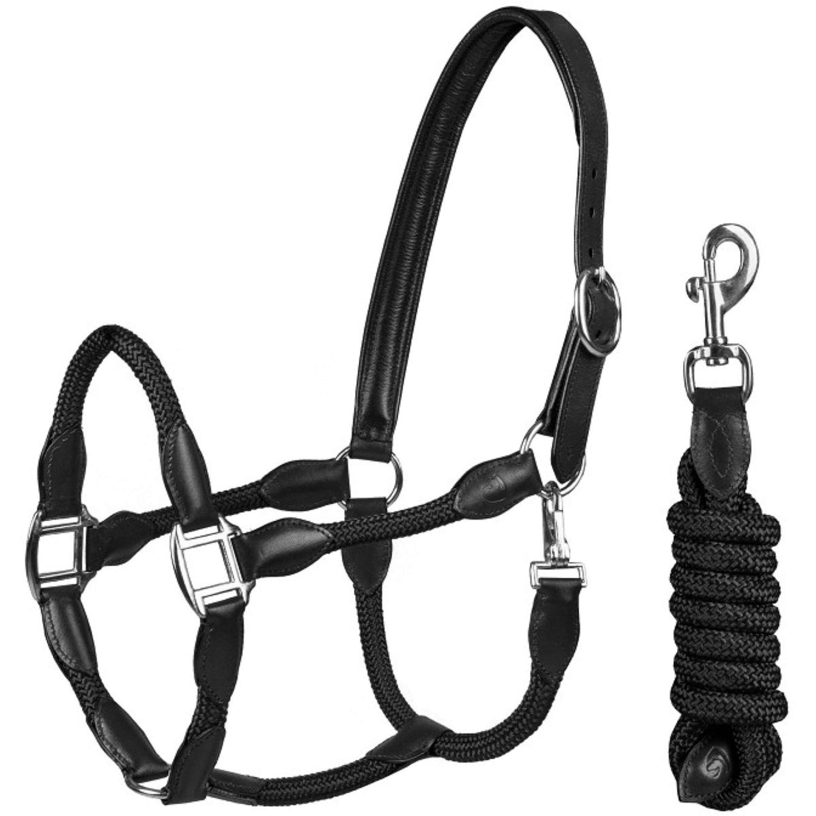 HORKA Ensemble Licol Cuir avec corde Noir