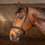 Harry's Horse Bride Soft Carbon Black Edition Noir