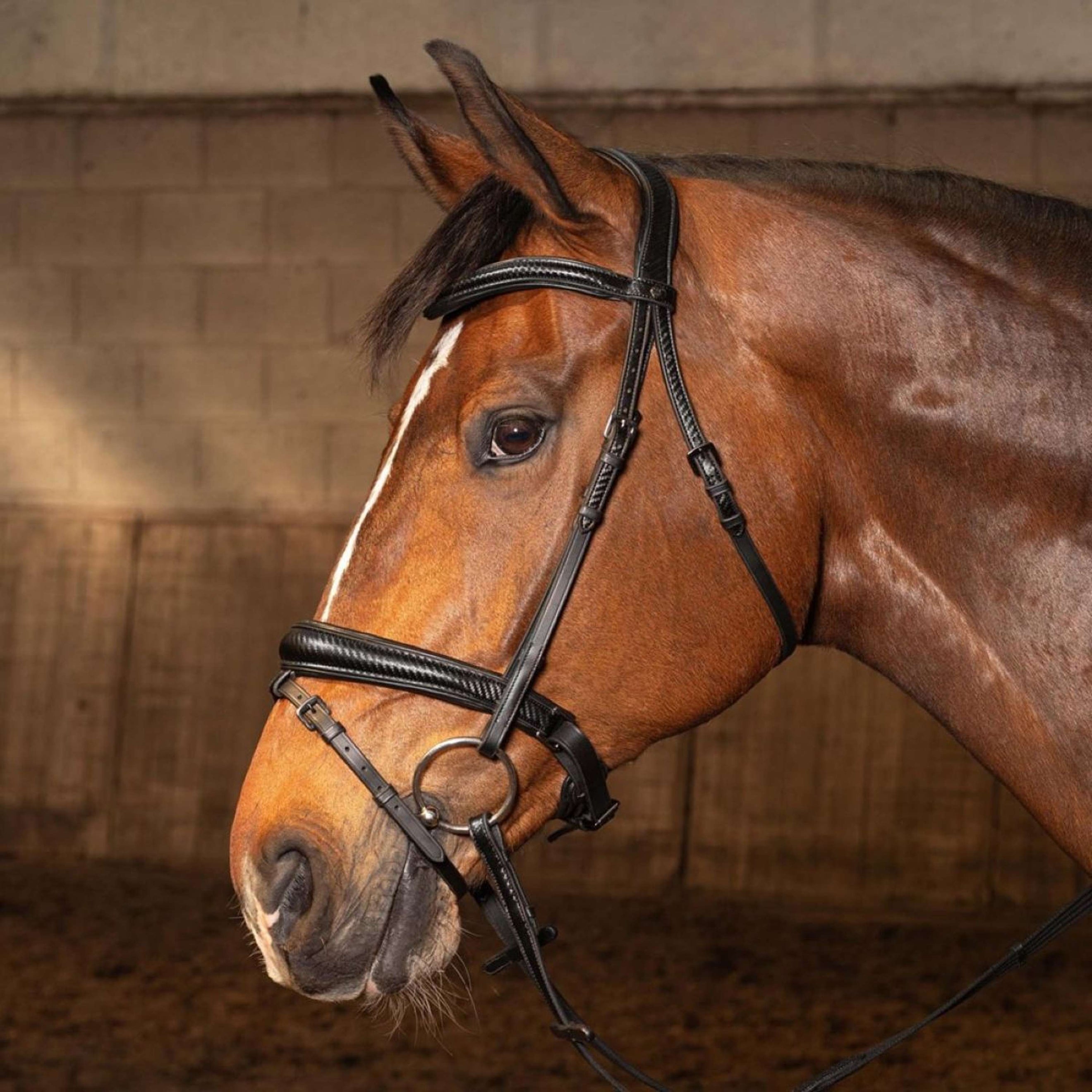 Harry's Horse Bride Soft Carbon Black Edition Noir Harry's Horse Bride Soft Carbon Black Edition Noir