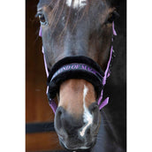Harry's Horse Licol Lyrics Quotes Lila