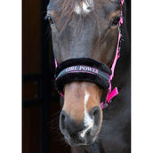Harry's Horse Licol Lyrics Quotes Rose