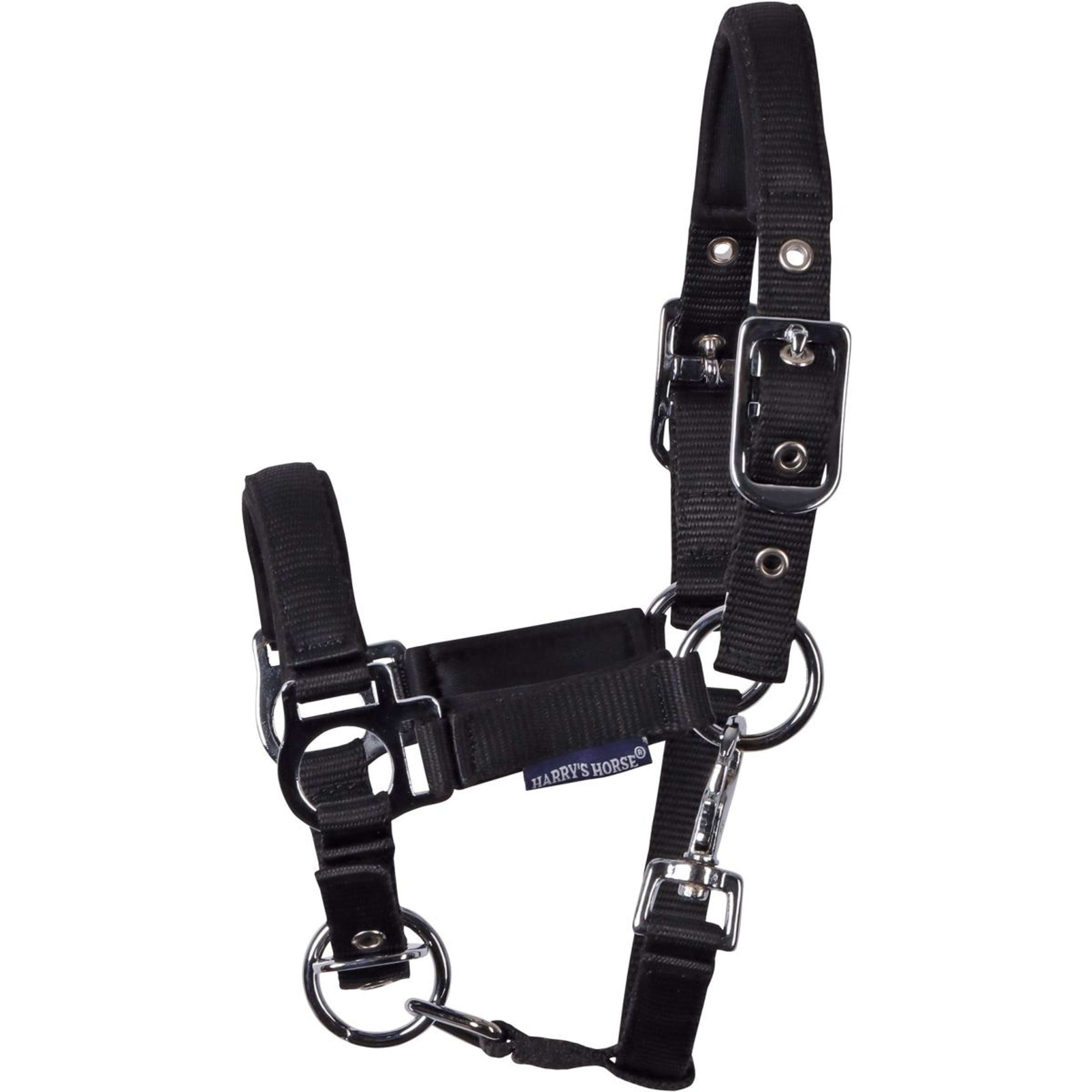 Harry's Horse Licol pour Poulain Padded Noir Harry's Horse Licol pour Poulain Padded Noir