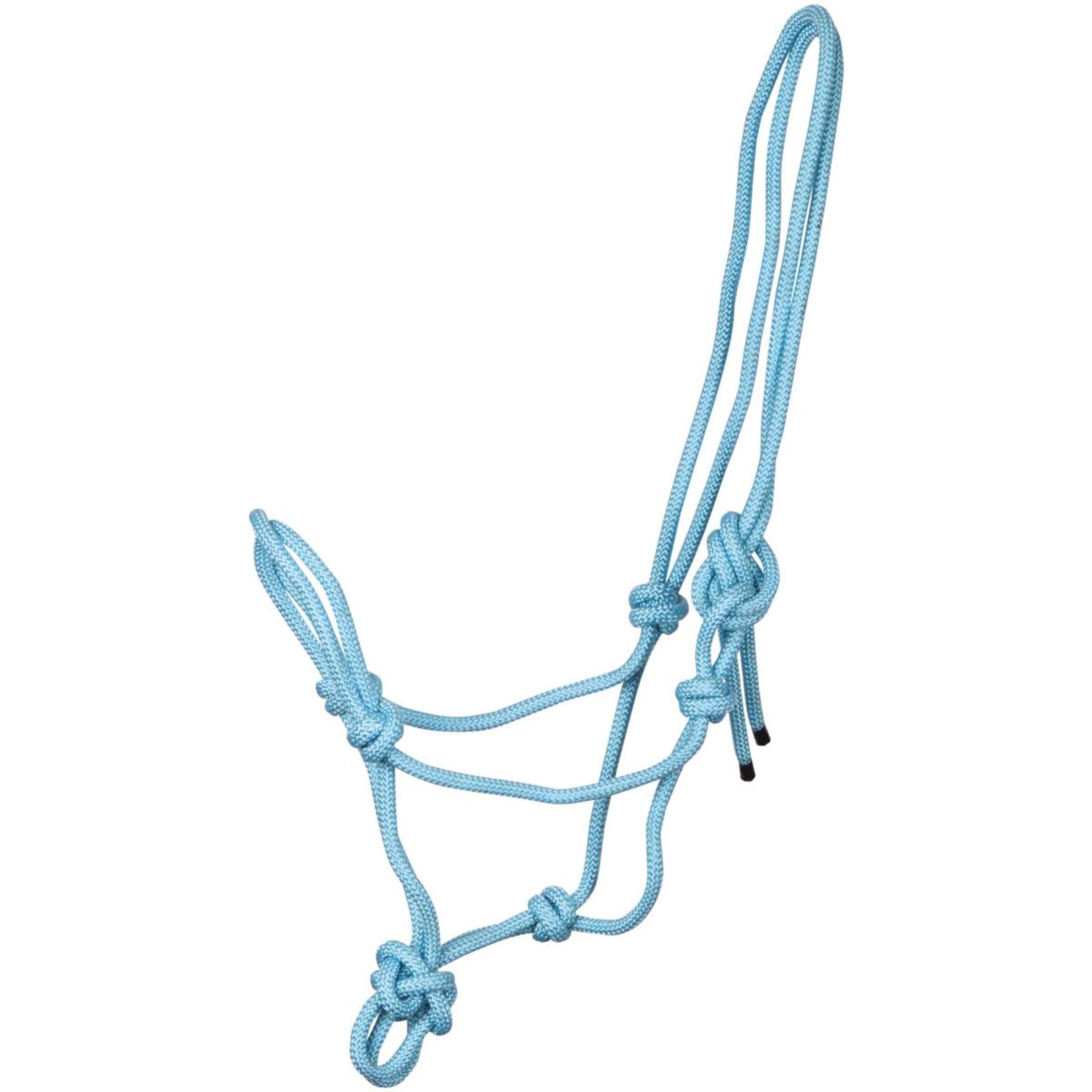Harry's Horse Licol en Corde Bleu clair