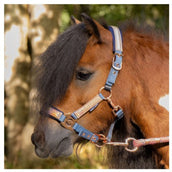 Harry's Horse Ensemble Licol Diva Mauvewood Faded-Denim